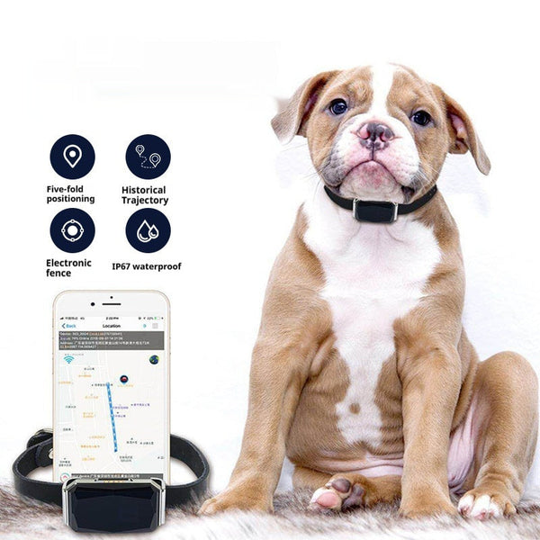 G12 Pet Navigator Locator Smart Wear GPS Cat Dog Anti-lost Tracking Tracking Hanzuva