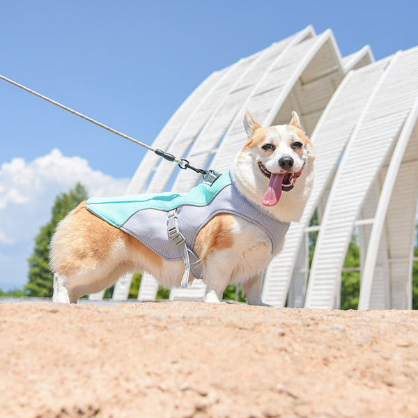 General Polyester Dog Cool Clothes Hanzuva