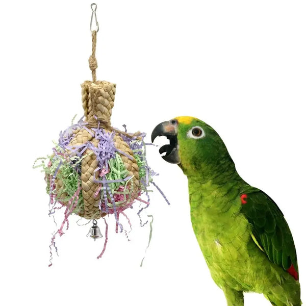 Drawing Straw Rope Toy Parrot Paper - Hanzuva