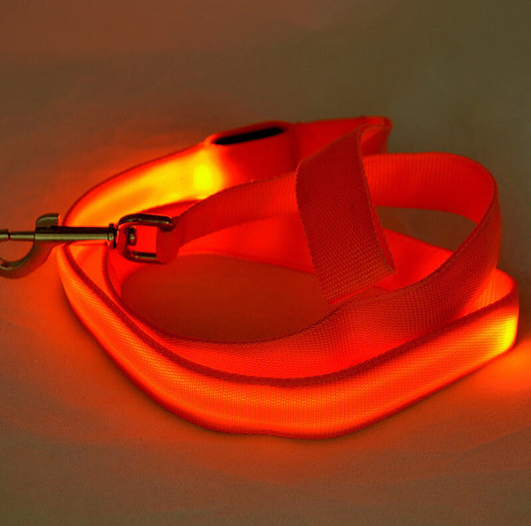 Glowing Pet Leash Glowing Dog LED Hanzuva
