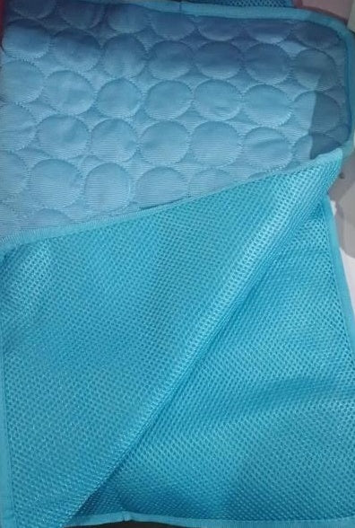 Pet dog ice silk pad