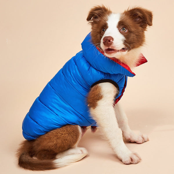 Winter Warm Down Cotton Dog Clothes Hanzuva