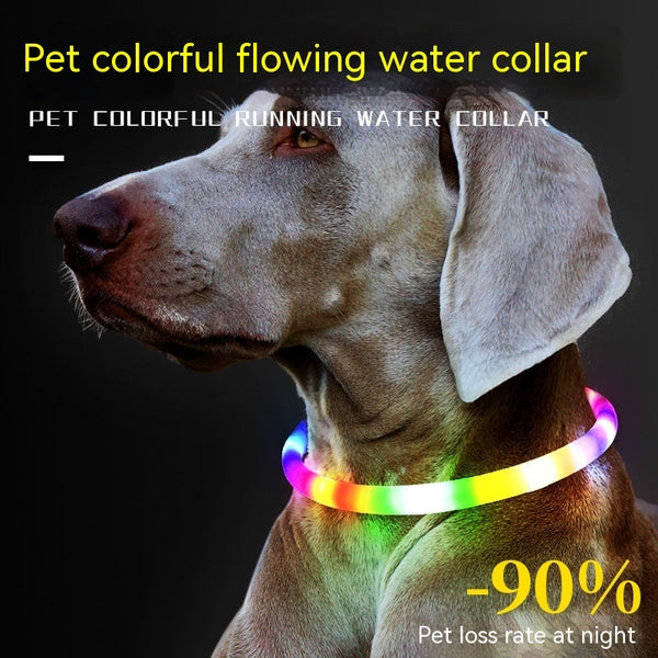 Fashion Led Pet Collar Dog Hanzuva