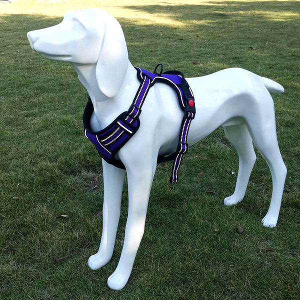 Dog Traction Chest Harness Leash Vest Hanzuva