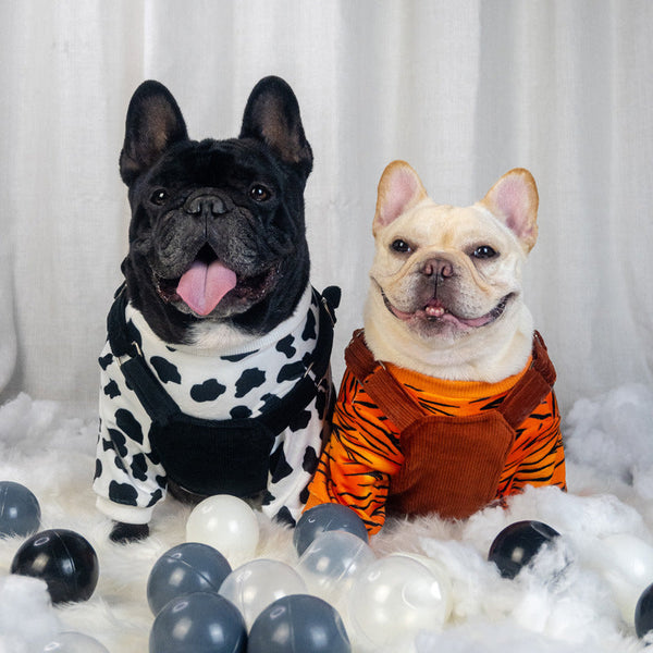 Two Piece Dog Clothes Warm Autumn And Winter Clothes Hanzuva