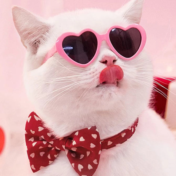 Doll Sunglasses Pet Toy Accessories Hanzuva