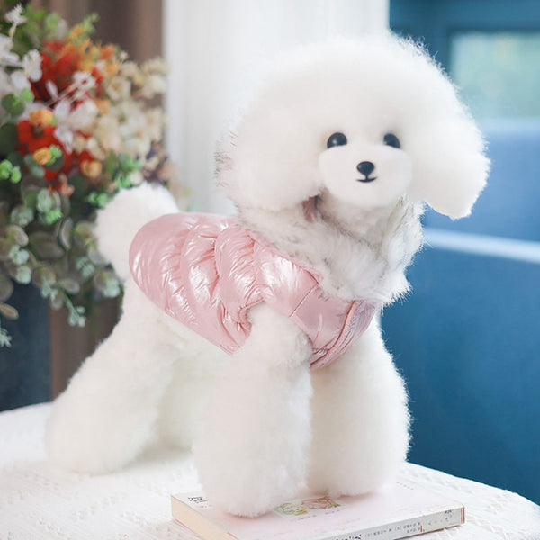 Two Legged Hooded Pet Cotton Padded Clothes Hanzuva