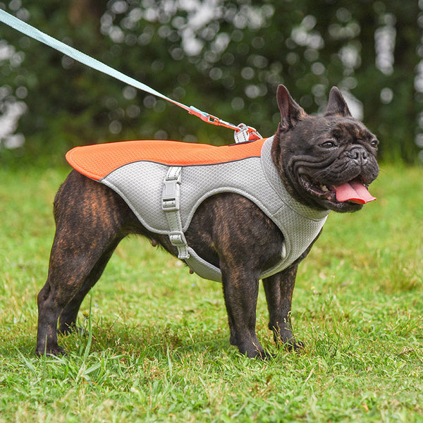 Summer Pet Outdoor Breathable Cooling Vest Hanzuva